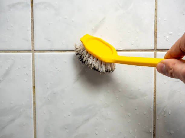 Best Certified Mold Removal  in Madison, IN