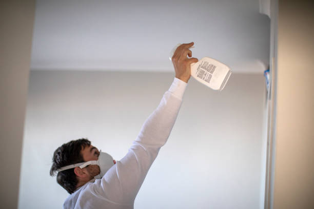 Best Mold Remediation Experts  in Madison, IN