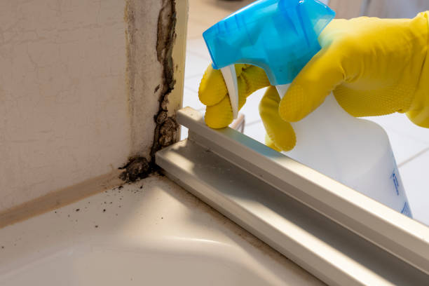 Best Mold Testing  in Madison, IN