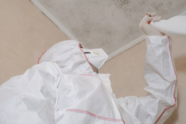 Best Mold Removal Specialists  in Madison, IN