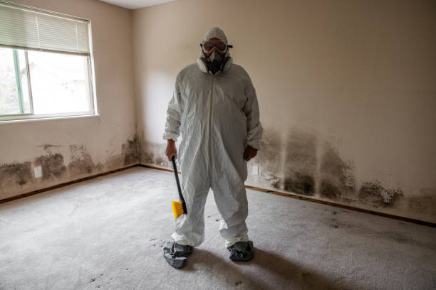 Best Fast Mold Removal  in Madison, IN